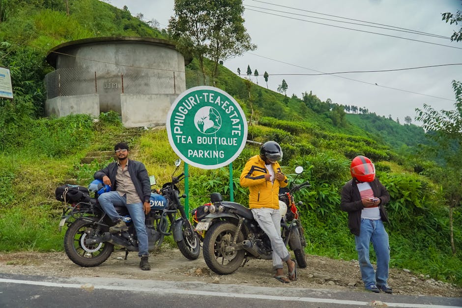 Aislaby Tea Estate (Gampola)