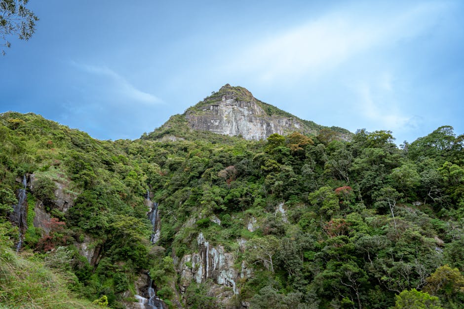 Bambarakanda Falls