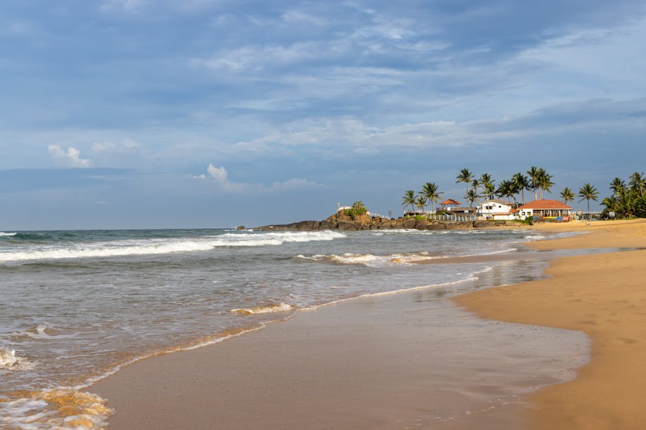 Ayurveda Reset
