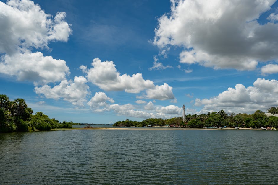 Bolgoda Lake