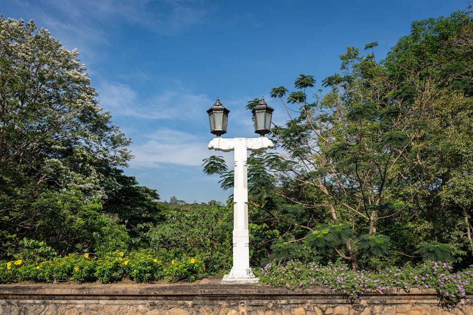 Brief Garden (Bevis Bawa)