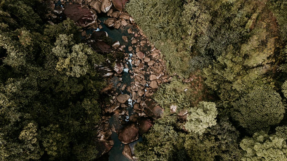Canyoning (Kitulgala)