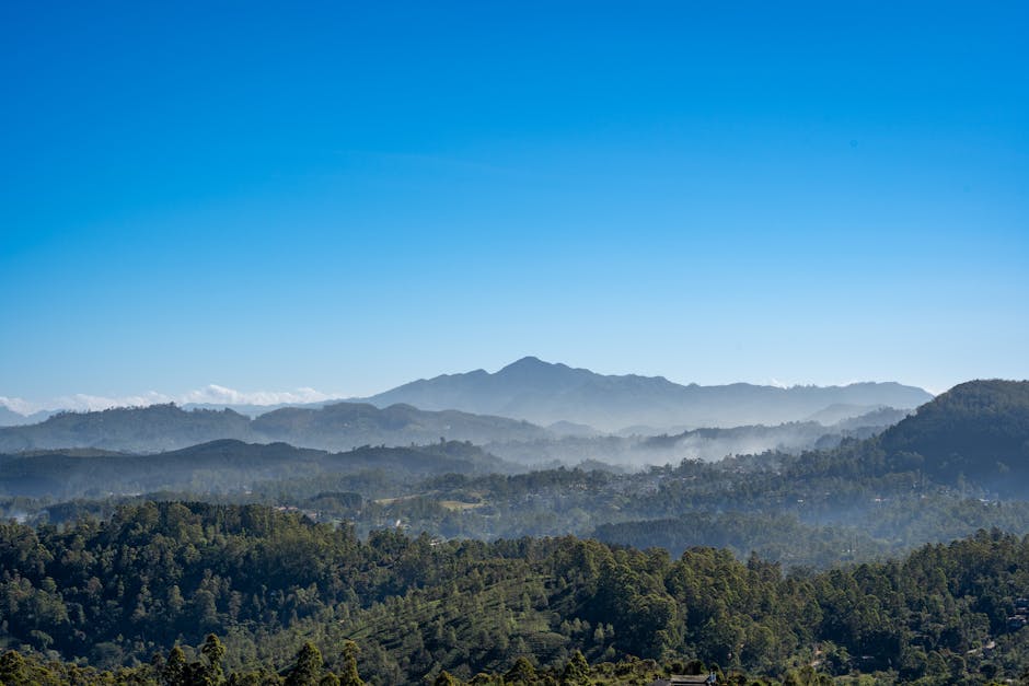 Central Highlands (Peak Wilderness)