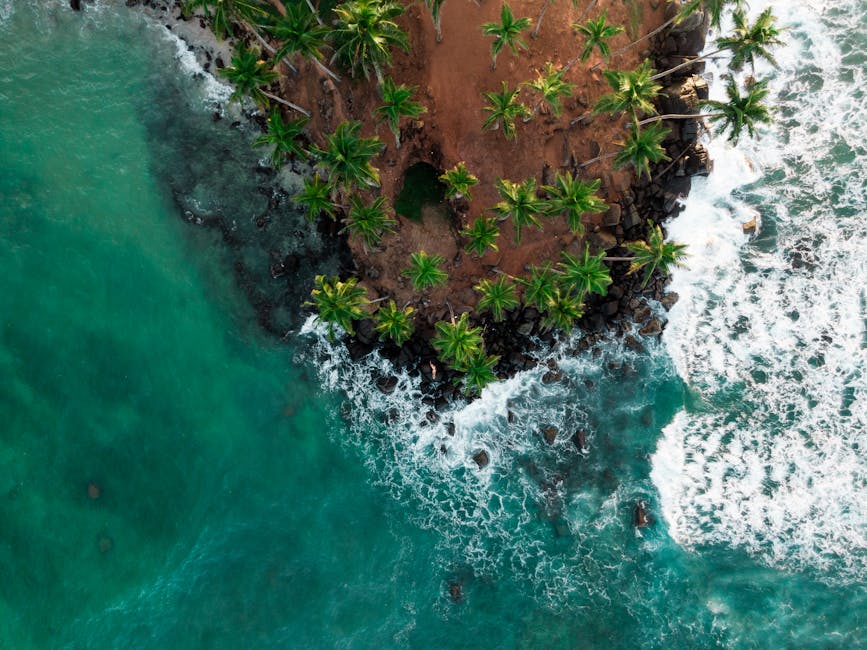 Coconut Tree Hill (Mirissa)