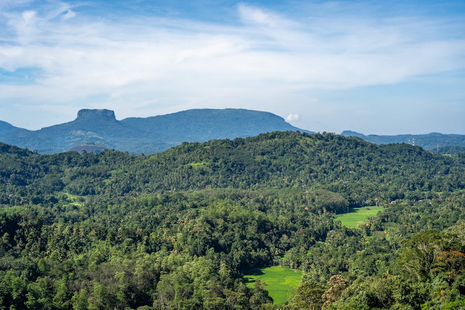 Corbett's Gap (Knuckles)