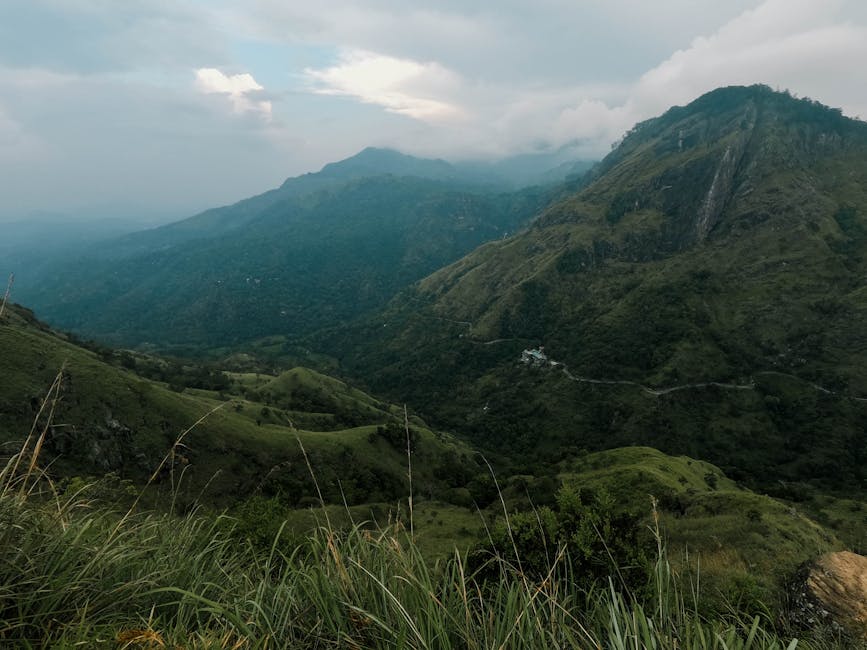 Ella Gap