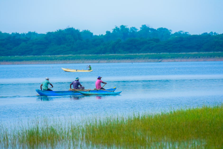 Gal Oya Boat Safari