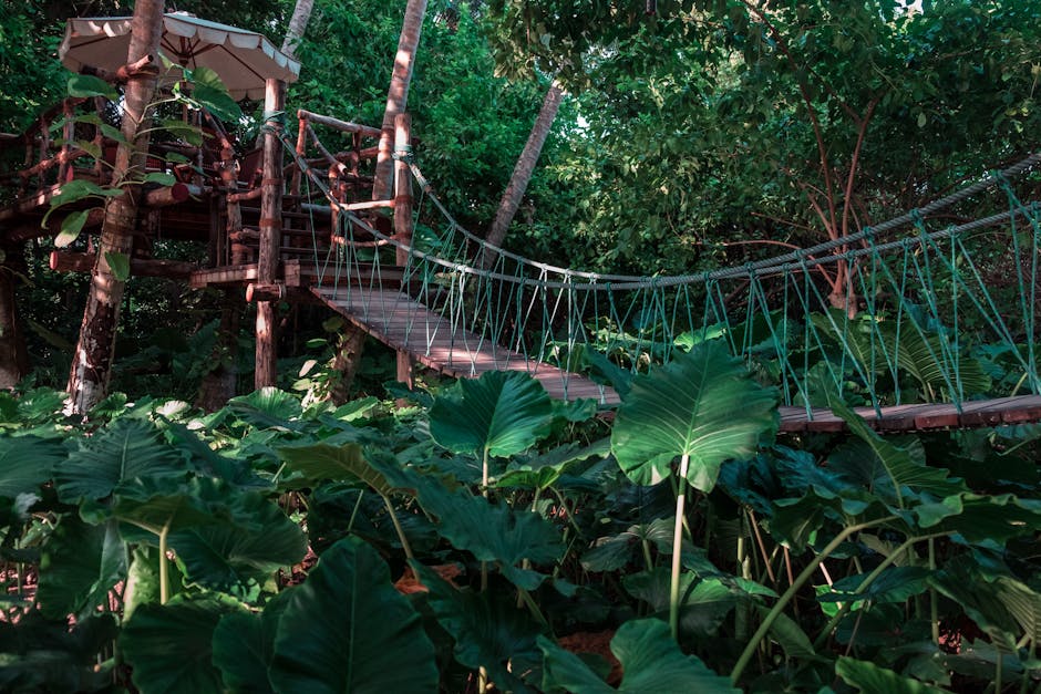 Hill Country Honeymoon
