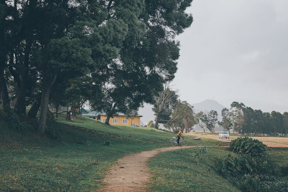 Gregory Lake (Nuwara Eliya)