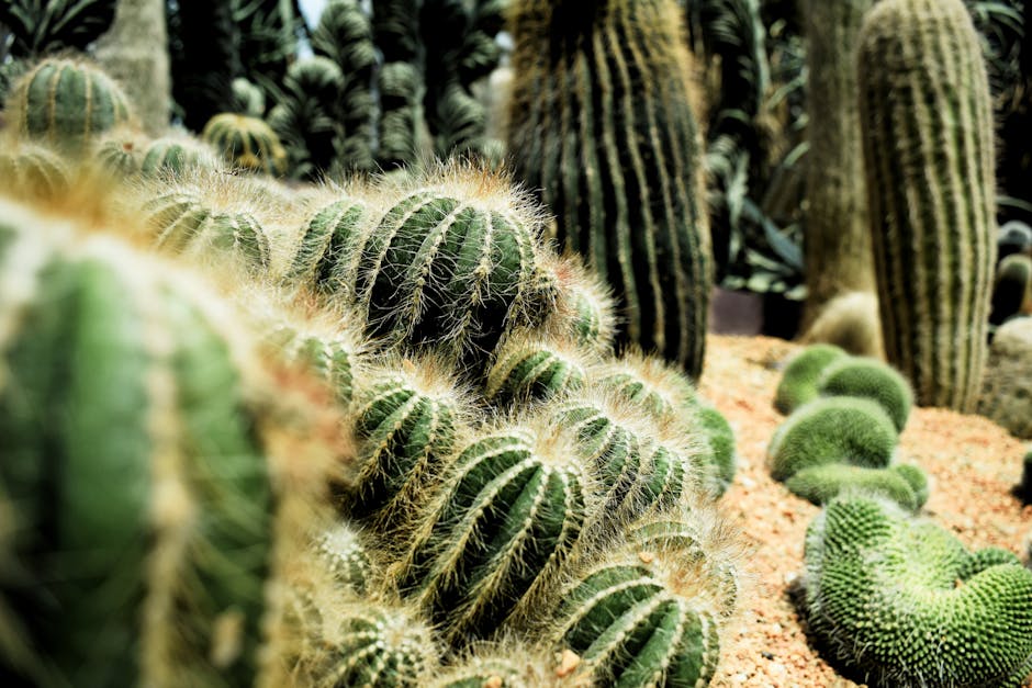 Hambantota Dry Zone Botanical Garden