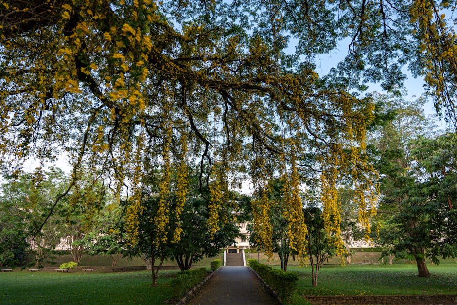 Henarathgoda Botanical Garden