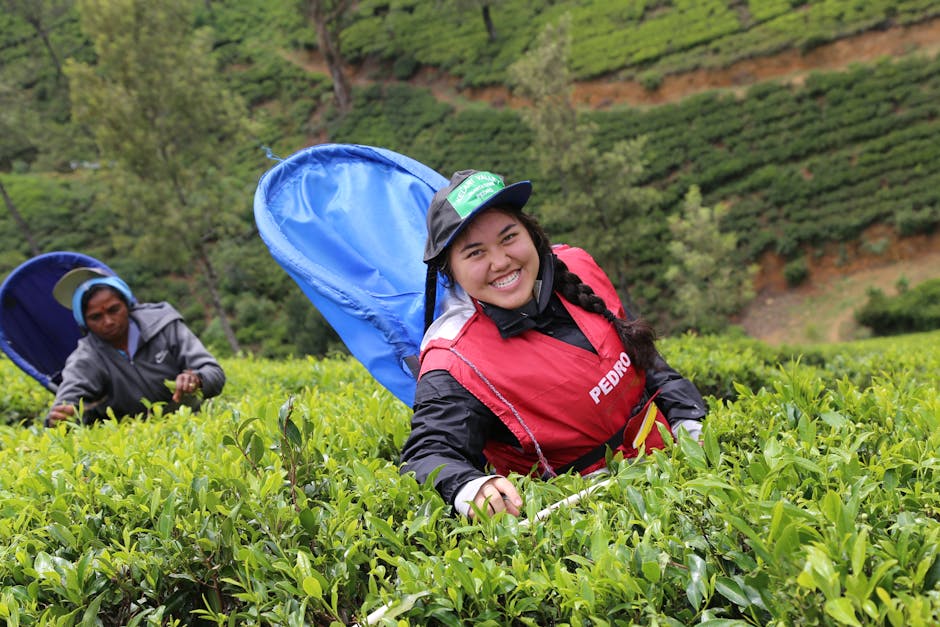 Heritance Tea Factory (Nuwara Eliya)