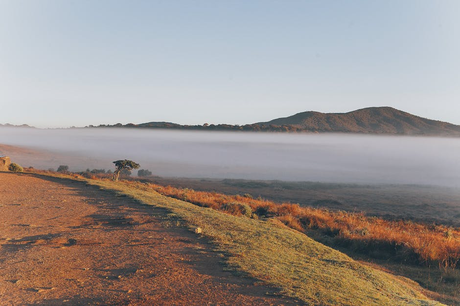Horton Plains National Park