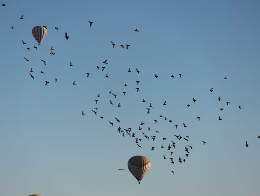 Hot Air Ballooning (Dambulla)
