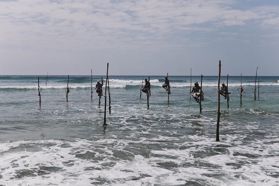 Koggala Stilt Fishermen