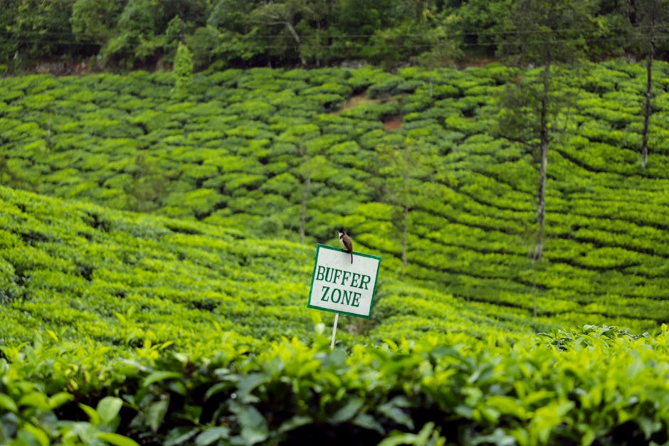 Labookellie Tea Estate & Centre