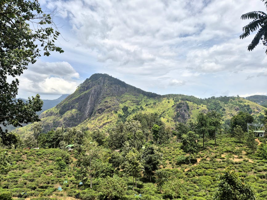 Little Adam's Peak