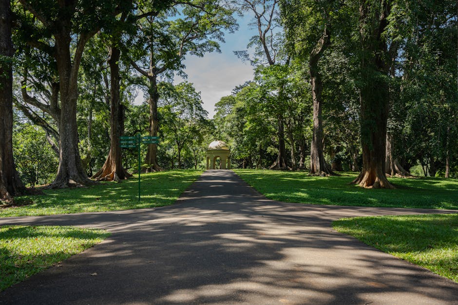 Lunuganga (Bawa Estate)