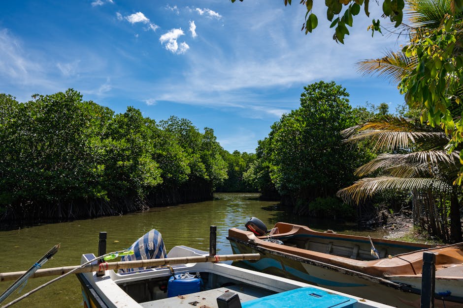 Madu Ganga Boat Safari