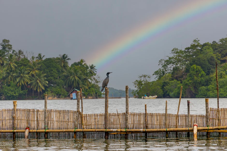 Madu Ganga Wetlands