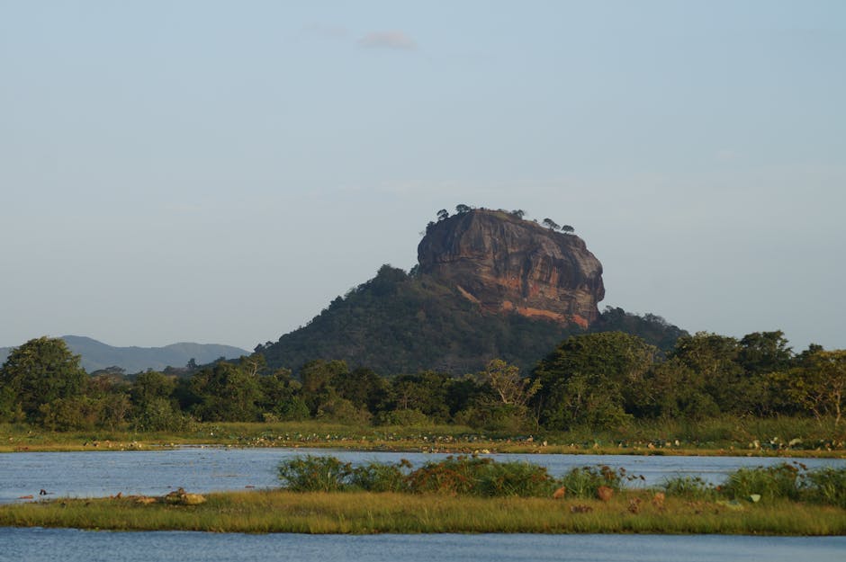 Minneriya National Park