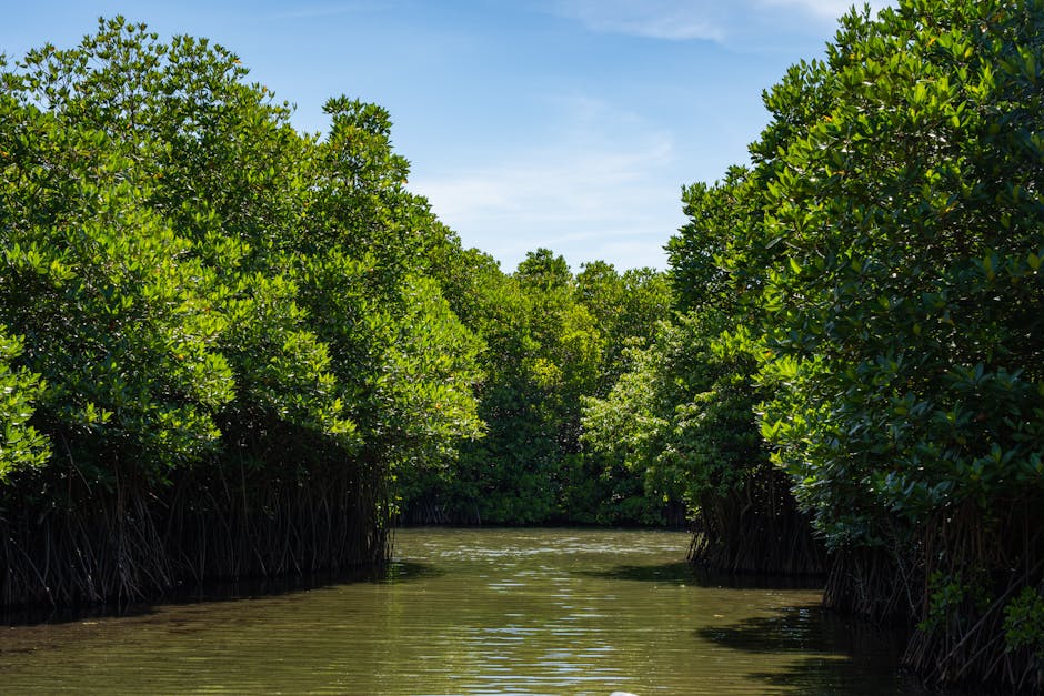 Muthurajawela Wetlands