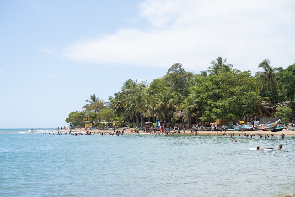 Nilaveli Deep Sea Swimming