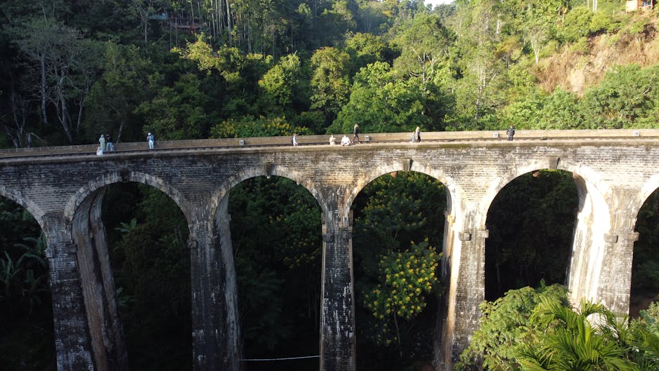 Nine Arch Bridge (Demodara)