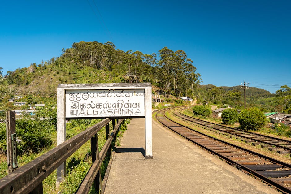 Nuwara Eliya to Ella Train
