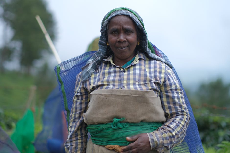 Pattipola Tea Estates
