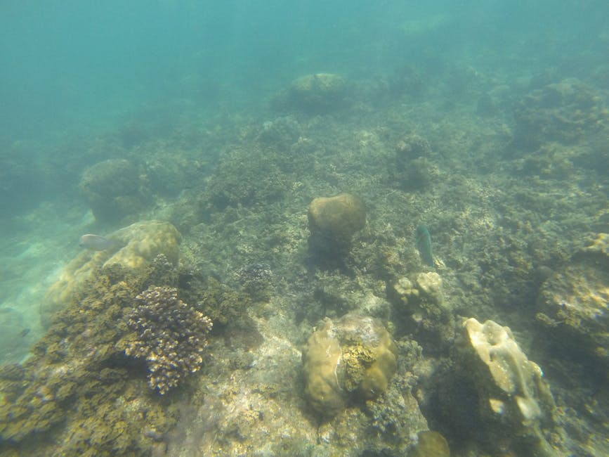 Pigeon Island National Park