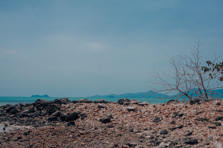 Pigeon Island Viewpoint