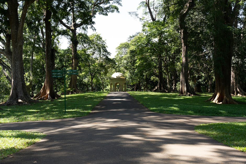 Royal Botanical Gardens, Peradeniya