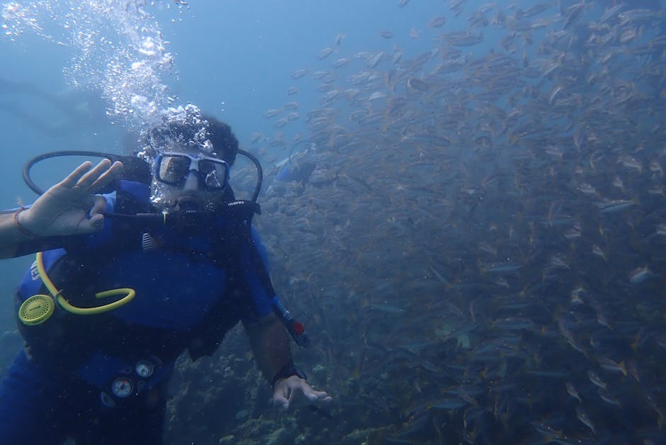 Scuba Diving (Trincomalee)
