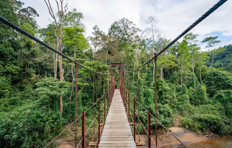 Forest Bathing Retreat