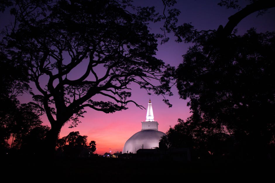 Sri Maha Bodhi (Anuradhapura)
