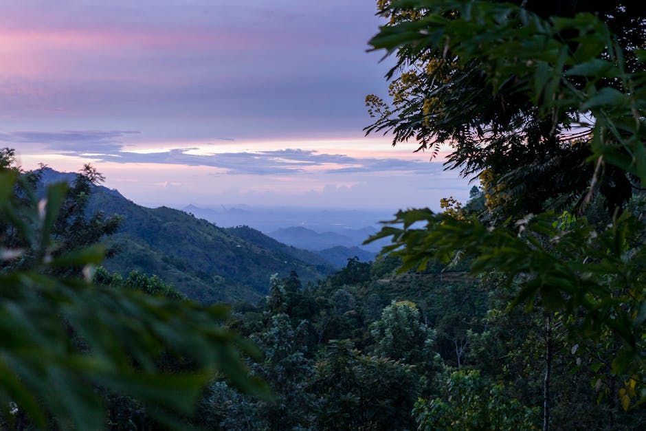 Thudugala Ella