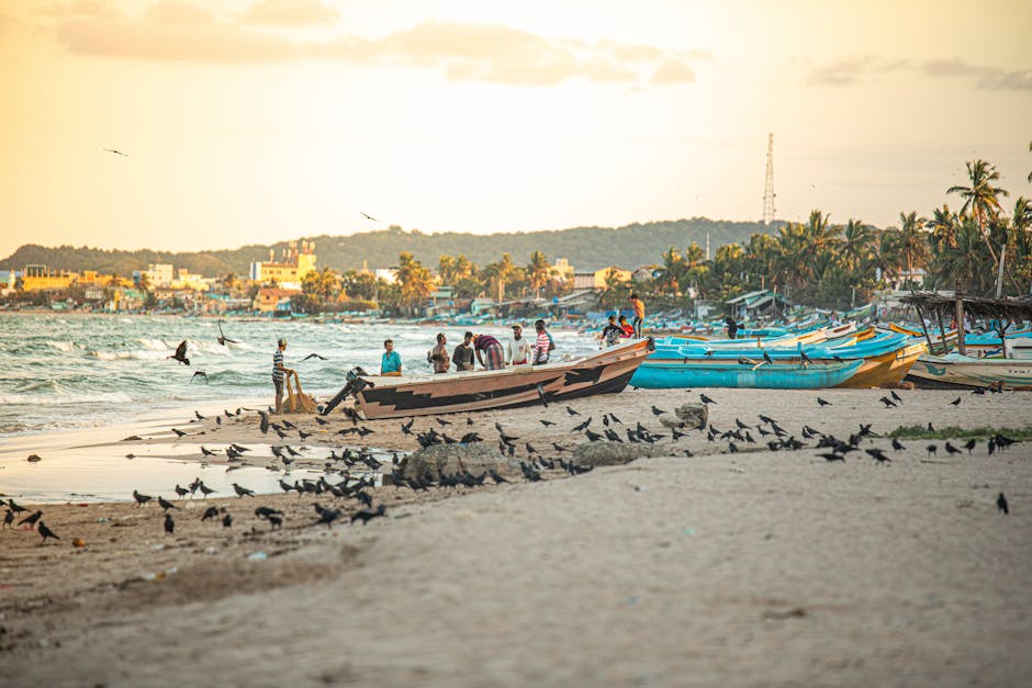 Trincomalee Beaches