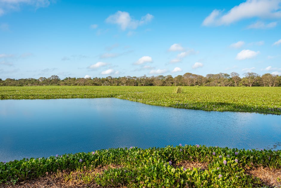 Ussangoda National Park