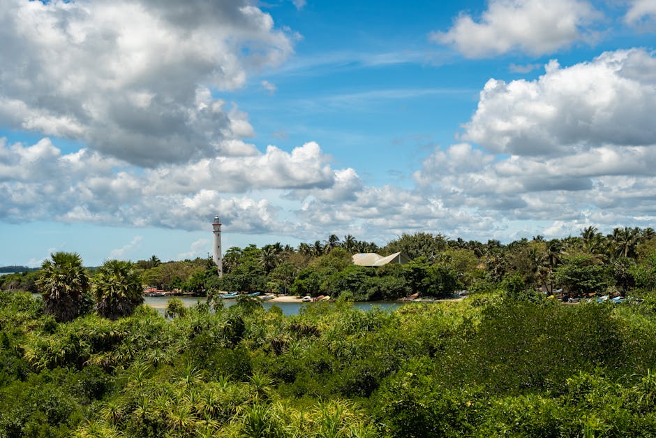 Waikkal Beach